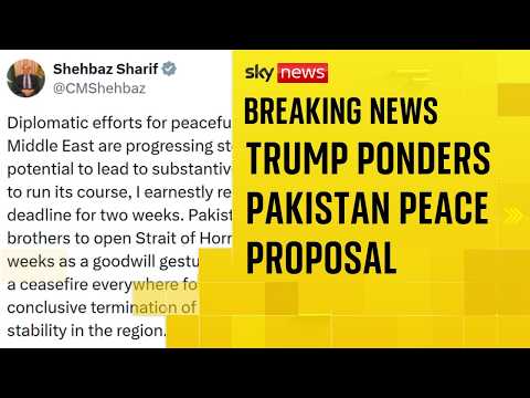 Pakistan calls for two-week ceasefire as Trump's Iran deadline looms