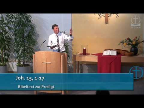 14.08.2016 - Matthias Lohmann - Ich bin der Weinstock