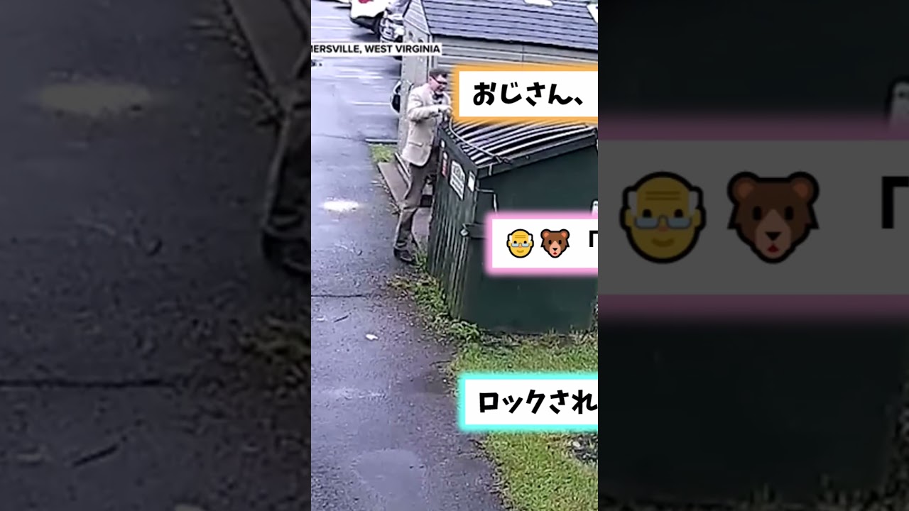 クマがみんな驚いて逃げるクマならいいのにな… #2ちゃんまとめ #animals #2ch