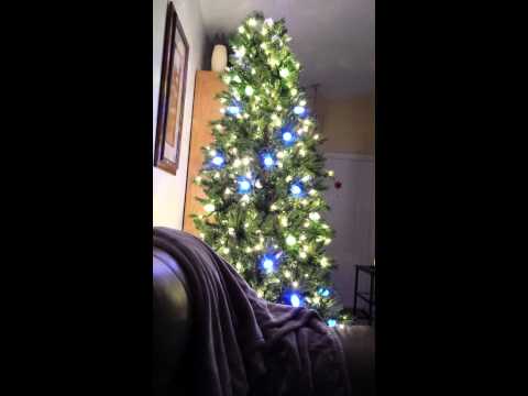 I Love My Tree 2014