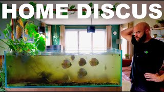 Building A Home Discus Aquarium (EP1)