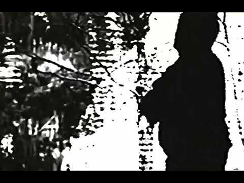 Kaziview - Listen (official video)  @_prod.apollo_ @reklus1ve @prod.xanmato6355