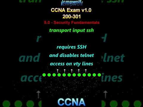 Cisco CCNA: What command enables SSH on your virtual terminal access? - icmpwolf