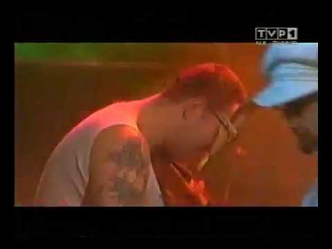 ZTVORKI Rower Blazeja