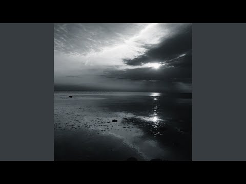 SHE WILL (Instrumental)