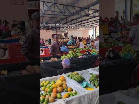 FEIRA DE SANTA INÊS BAHIA #shorts #feira #santainês #bahia #turismo #entretenimento #alegria #humor