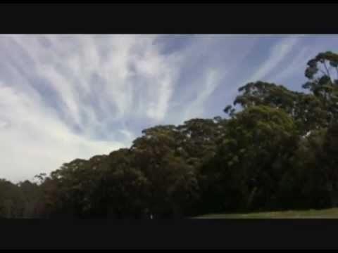 fast corflute rc wing rips itself apart mid flight