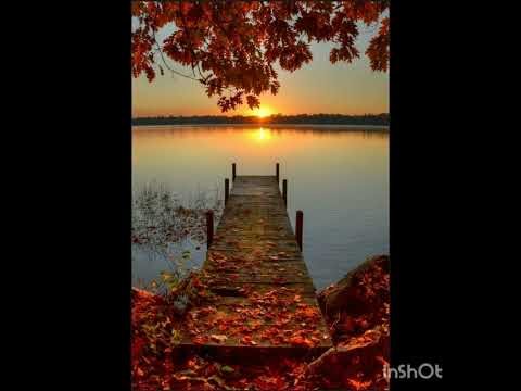 İlkin Abbasov ft.Lila-Travma(speed up+lyrics)