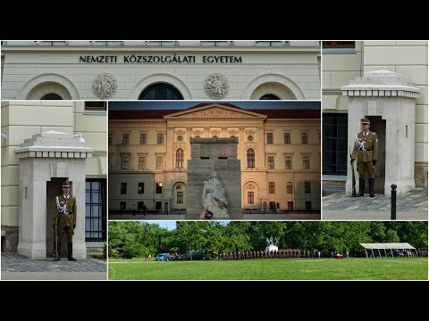 Ludovika száznapos ünnepség