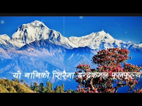 Yo nani ko siraima indra kamal phul phulyo -song // Nepali//Masterpiece//Lyrics