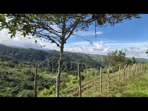 Filo de la cuchilla ,santa rosa de cabal