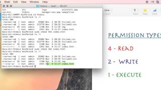How to Use the Terminal: &#39;chmod&#39; Command Demystified and Put to Use