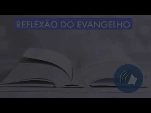Reflexão Evangelho 14 Agosto 2020