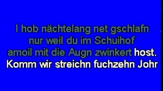 Du entschuldige I kenn di - Peter Cornelius (Karaoke-CDG)