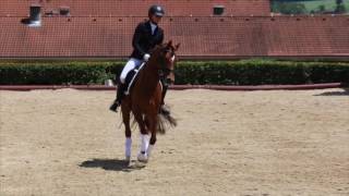 Video von het Red Dream