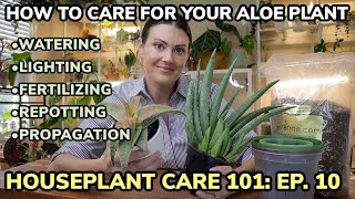 Houseplant Care 101: Aloe Vera Plant Care - Aloe Plant Watering, Feeding, Repotting & Propagation