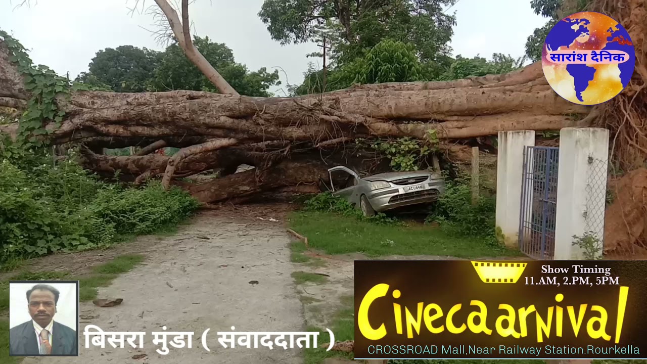 दो महीने से रास्ते पर पड़ा है बिशालकाय पेड़ सूद लेने वाला कोई नहीं