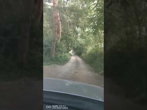 Drumul din strada principala catre GRADINILE ROMANE