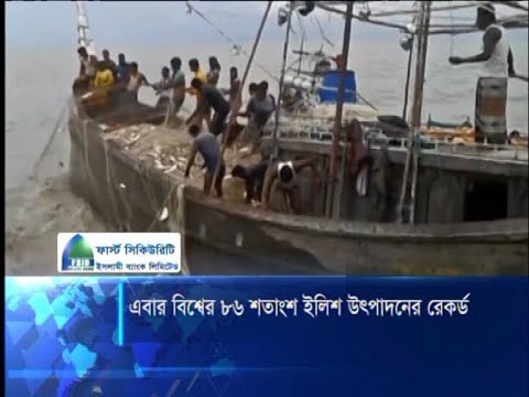 বিশ্বের ৮৬ শতাংশ ইলিশ উৎপাদনের রেকর্ড