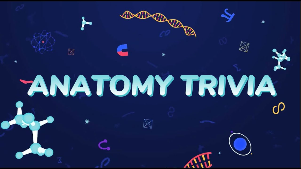 Anatomy Trivia | 30 Questions