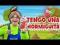 Tengo Una Hormiguita Nueva Mascota El Compañero Aplastó Mi Hormiga