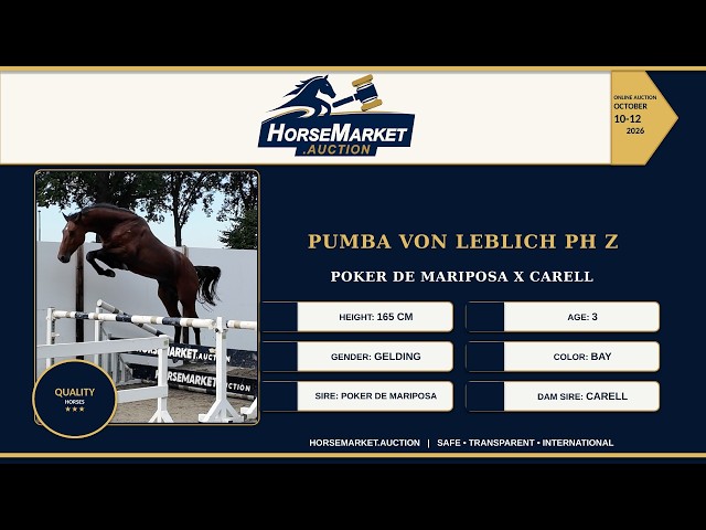 Pumba von Leblich PH Z