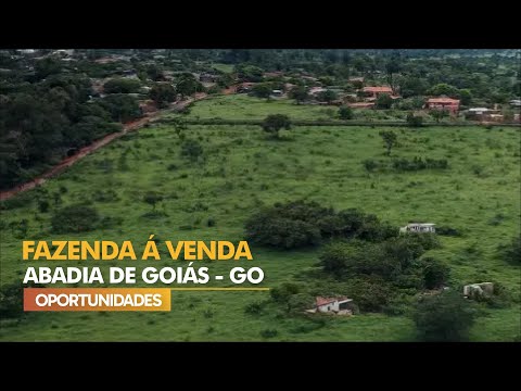 FAZENDA Á VENDA ABADIA - GO