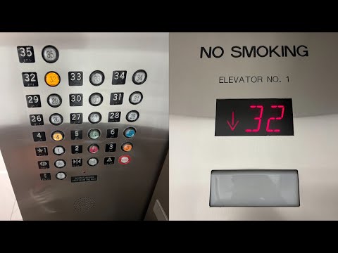 Insane 1000 FPM Otis/Schindler Traction High Rise Elevators at the Park Tower in Downtown Tampa, FL