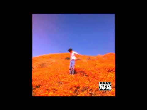 Bresh x Iann Diorr x Justin Bieber type beat " Vibes🌴"