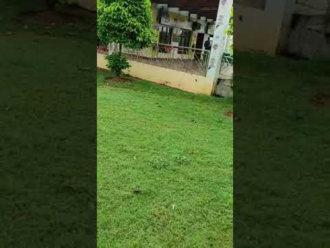 jishnu a icecream 🍦khabo canteen goi ki korile saoksun😀😍😍