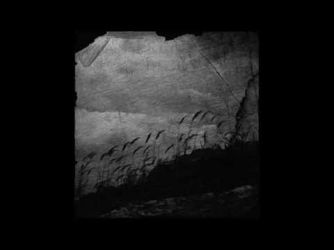 Vspolokh / Vikhr - Amongst Mossy Stones... (Full Album)