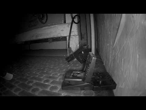 Jawz Mouse Trap In Action