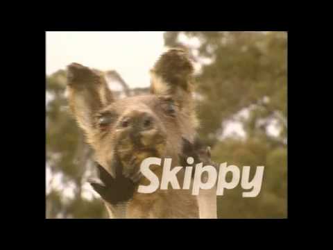 [FAST FORWARD] Skippy - Skippy vs The Devil