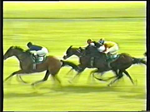 1999 - Curragh - Blandford Stakes - Insatiable