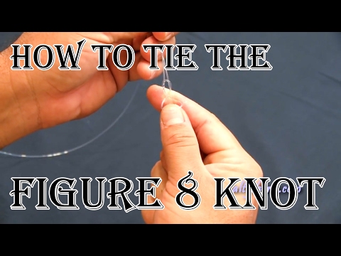How to tie a figure 8 knot, Great for Tuna, Tarpon, Grouper Knot and other big fish.