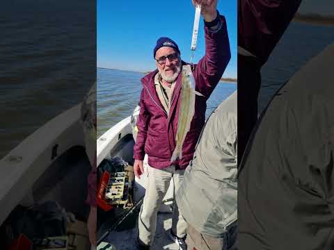 Excelente jornada en la laguna Viamonte de Cordoba  guia @milipesca tel 3537443899.