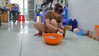 Download lagu Single mom daily life 1 mp3 Download lagu Single mom daily life 1 mp3