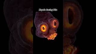 Download lagu CACING PITA DAN RUMPUT JIKA DILIHAT DARI MIKROSKOP! #shorts #mikroskop #microscope mp3