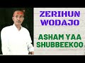 Zerihun Wodajo Asham Yaa Shubbeekoo Oromo Music 2022