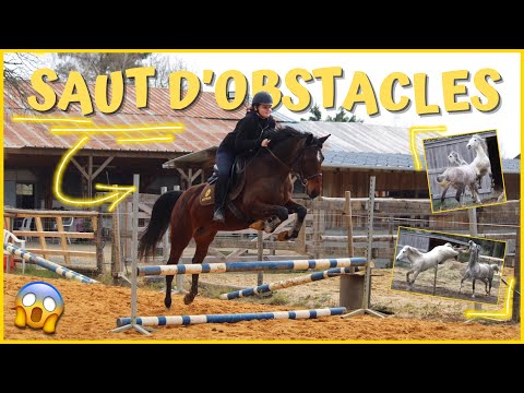 [COURS] Saut d'obstacles et chevaux surexcités ! 27/03/21 - CS'o Landreau