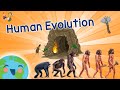 Evolution Of Humans -  Human Evolution For Kids (Educational Video for Kids)