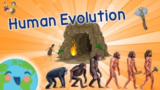 Human Evolution For Kids - Evolution Of Humans (Learning Videos for Kids)