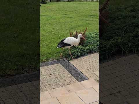 Ośrodek wypoczynkowy Szafir#Jarosławiec