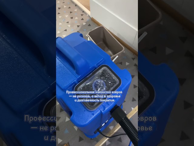 Профессиональная химчистка ковров