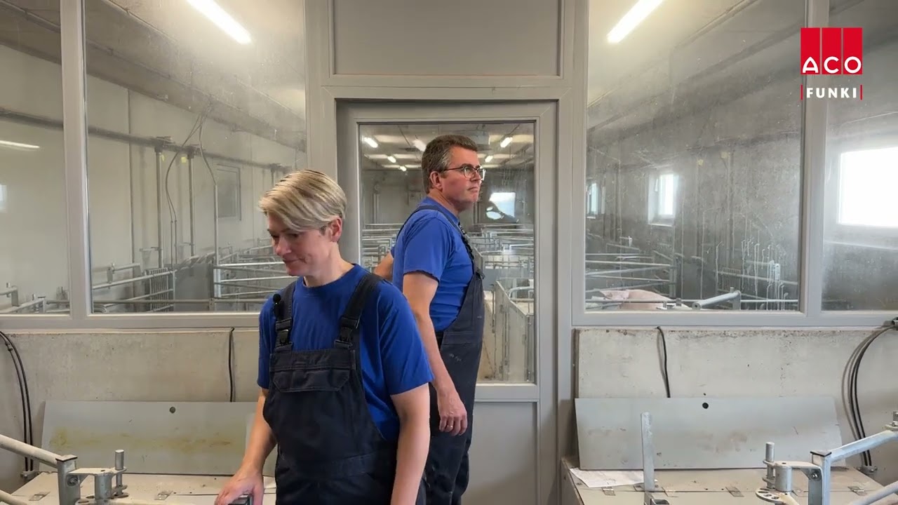 How slurry funnels improve air quality, reduce ammonia, and create a better environment for pigs: