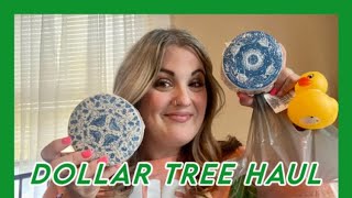 Dollar Tree Haul #dollartree #dollartreehaul #dollarstorefinds #dollartreeshopping #haul