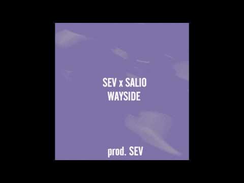 SEV X SALIO - Wayside