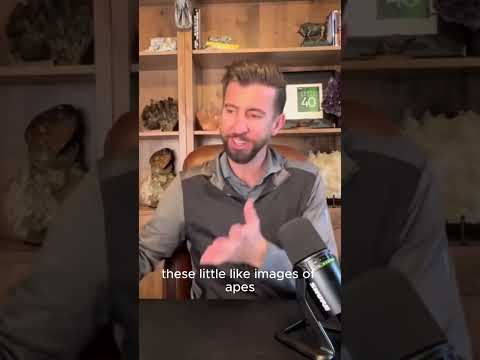 The Rise and Fall of NFTs Lessons for AI Investors