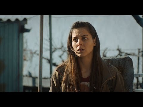 Kiril Dzaikovski - Dawn