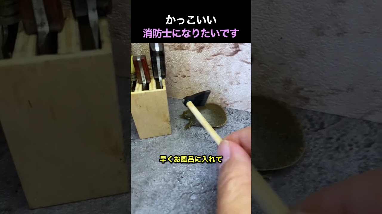 カメのお風呂❤️#shorts